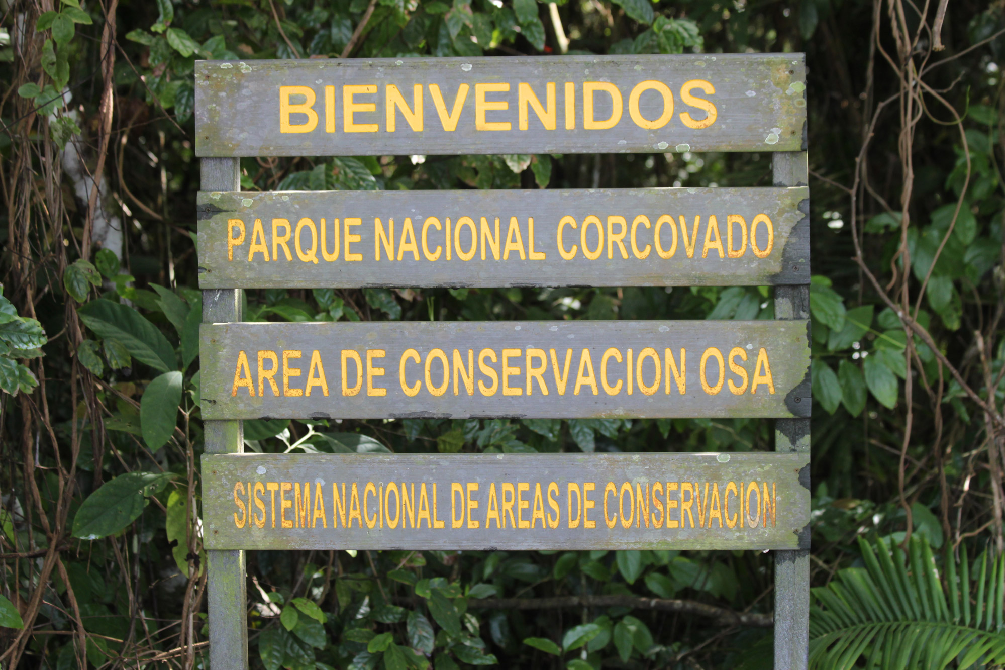 Parque Nacional Corcovado - meest teleurstellende bestemming?