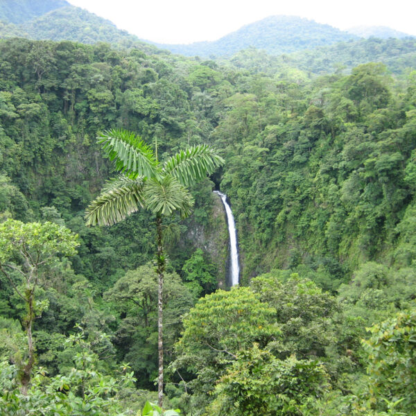 Catarata la Fortuna - La Fortuna - Costa Rica