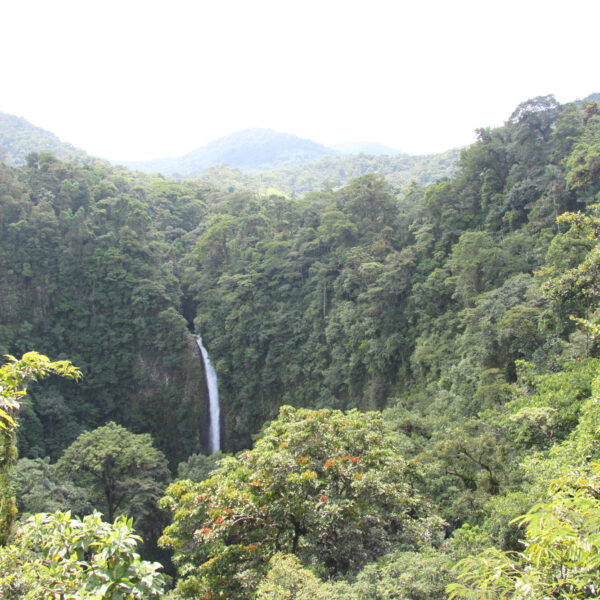 Catarata la Fortuna - La Fortuna - Costa Rica