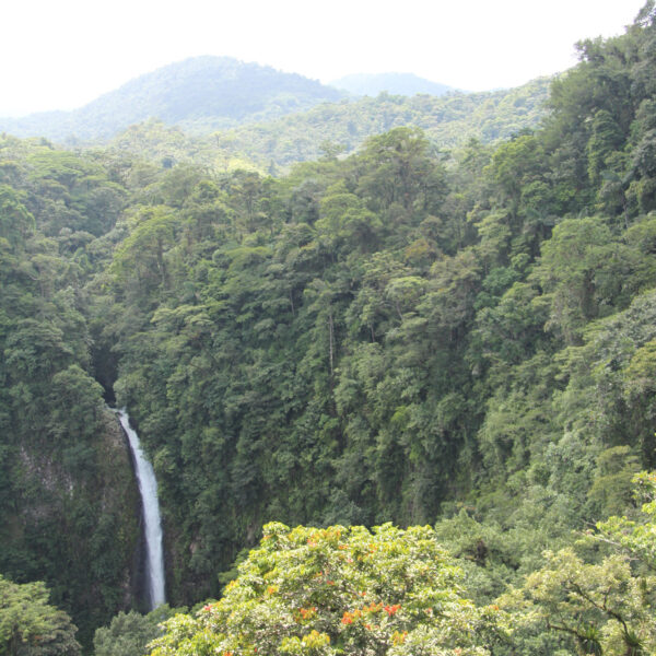 Catarata la Fortuna - La Fortuna - Costa Rica