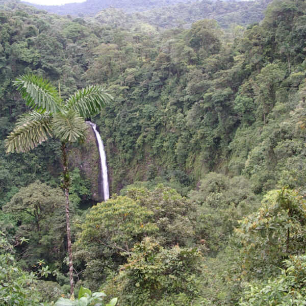 Catarata la Fortuna - La Fortuna - Costa Rica