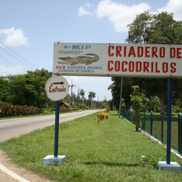 Criadero de Cocodrilos - Boca de Guamá - Cuba