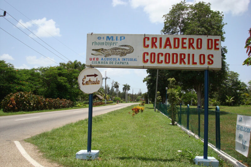 Criadero de Cocodrilos - Boca de Guamá - Cuba