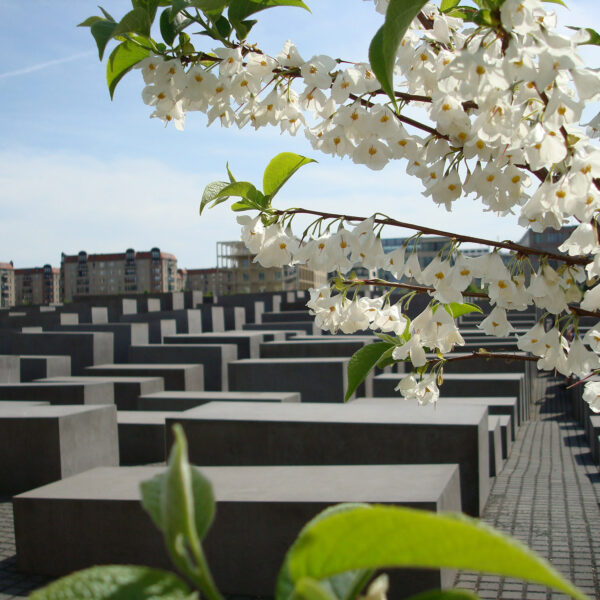 Holocaust Denkmal - Berlijn - Duitsland