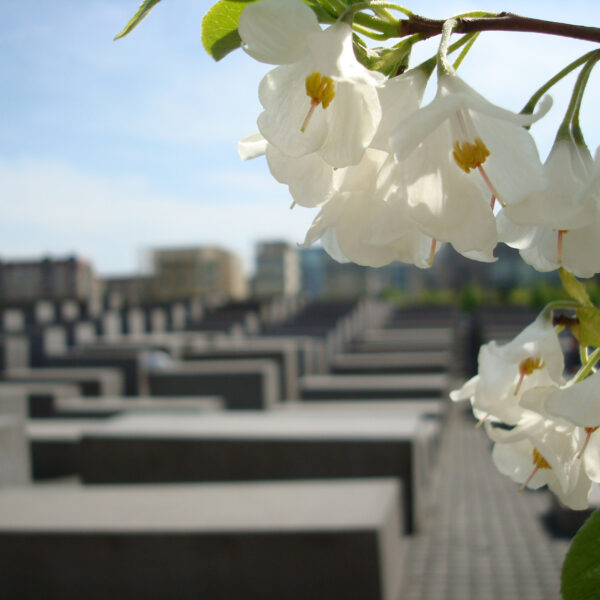 Holocaust Denkmal - Berlijn - Duitsland