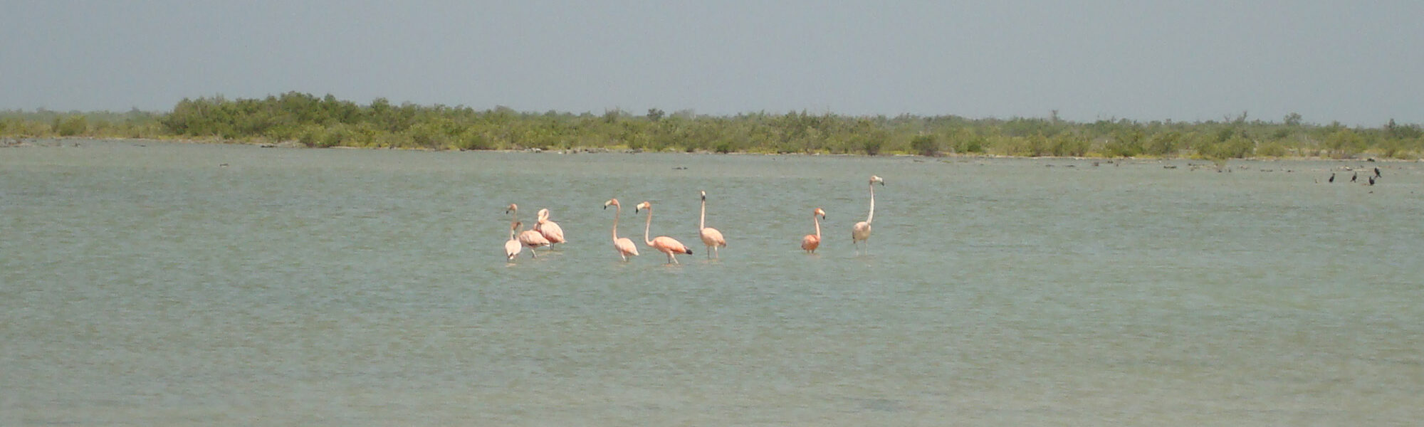 Penísula de Zapata - Cuba