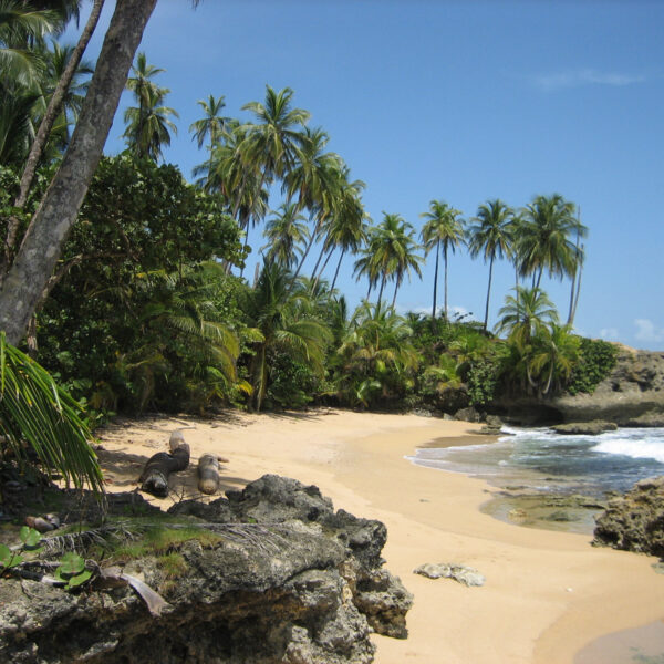 Gandoca Manzanillo National Wildlife Refuge- Costa Rica