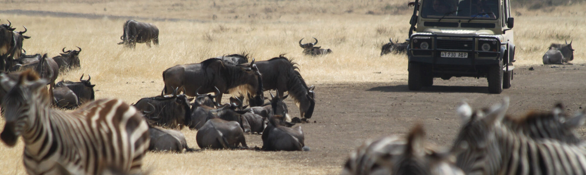 Tanzania