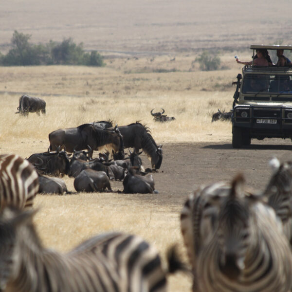 Tanzania