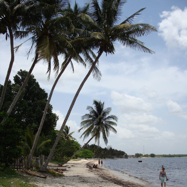 Varkensbaai - Playa Larga - Cuba