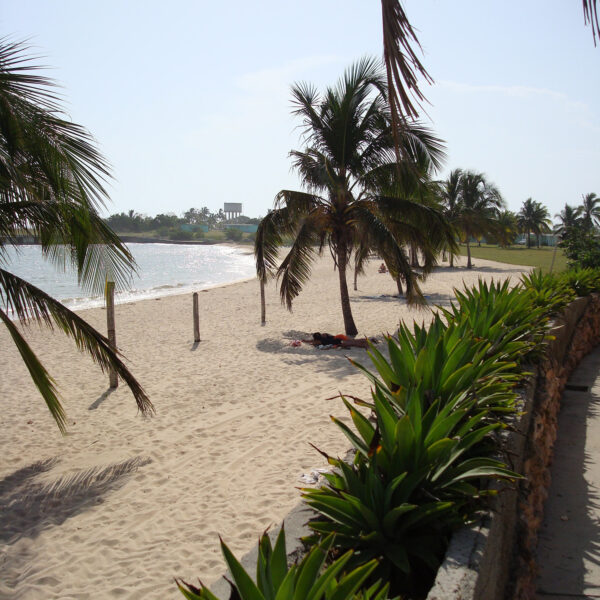 Varkensbaai - Playa Larga - Cuba