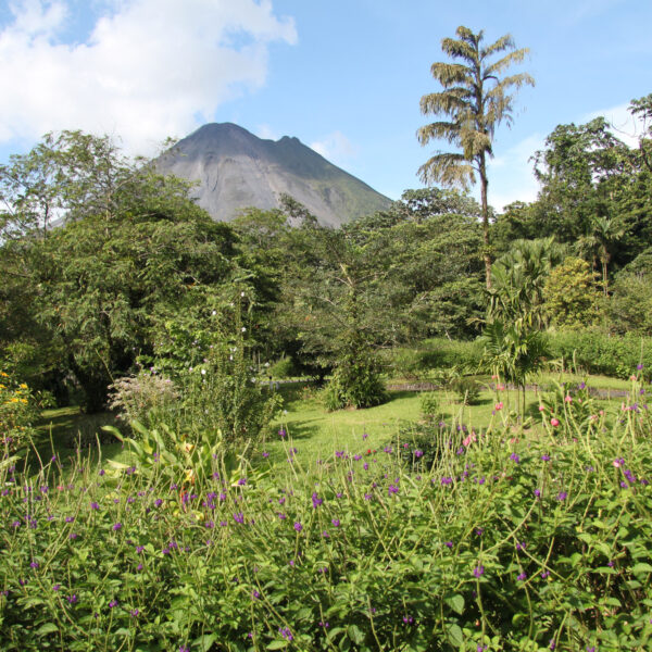 Volcán Arenal - Parque nacional Volcán Arenal - Costa Rica