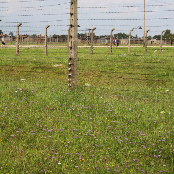 Auschwitz II - Birkenau - Oswiecim - Polen
