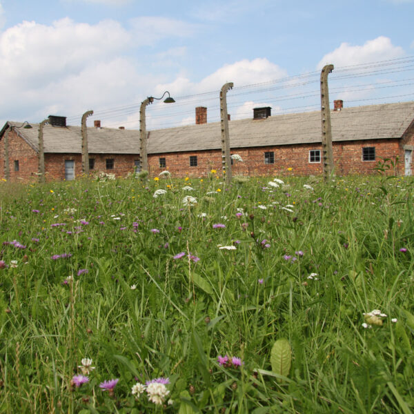 Auschwitz II - Birkenau - Oswiecim - Polen