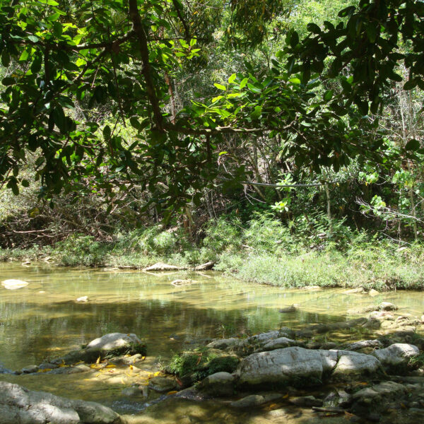 Baños del San Juan - Las Terrazas - Cuba
