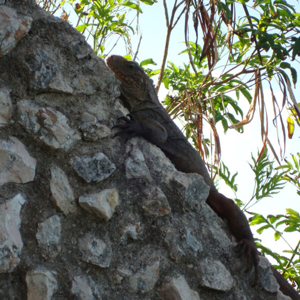 Castillo del Morro - Santiago de Cuba - Cuba