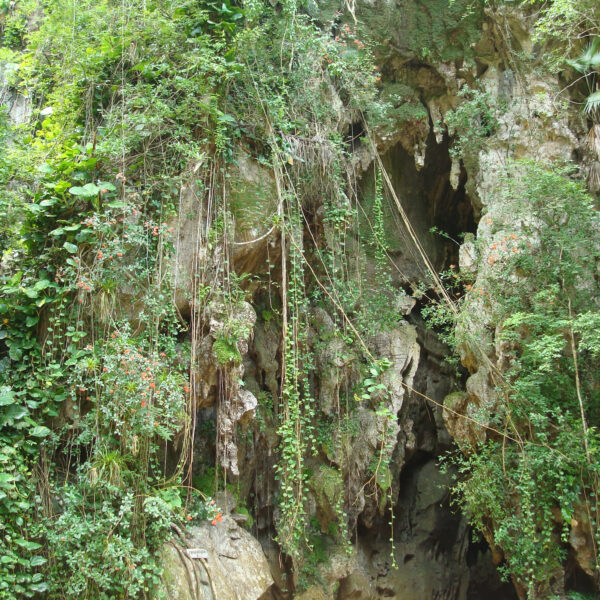 Cueva del Indio - Valle de Viñales - Cuba