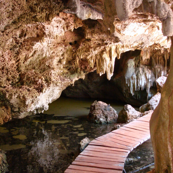 El Guafe - Parque Nacional Desembarco del Granma - Cuba