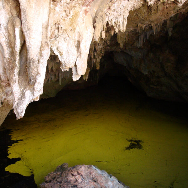 El Guafe - Parque Nacional Desembarco del Granma - Cuba