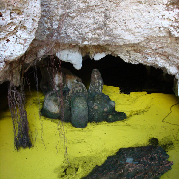 El Guafe - Parque Nacional Desembarco del Granma - Cuba