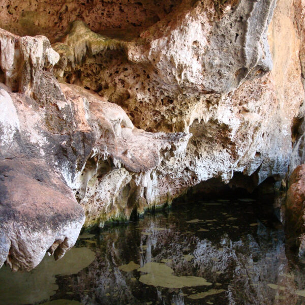 El Guafe - Parque Nacional Desembarco del Granma - Cuba