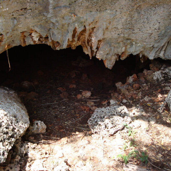 El Guafe - Parque Nacional Desembarco del Granma - Cuba