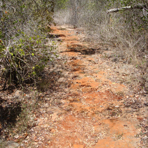 El Guafe - Parque Nacional Desembarco del Granma - Cuba