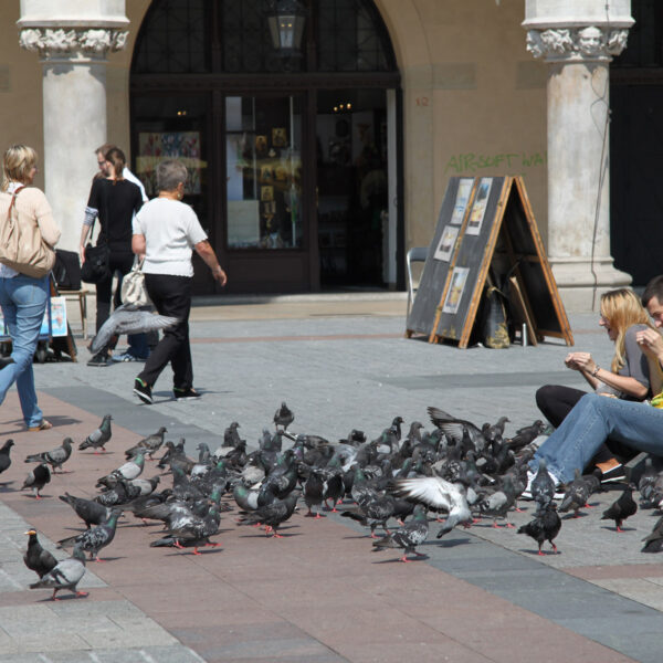 Grote Markt - Krakau - Polen