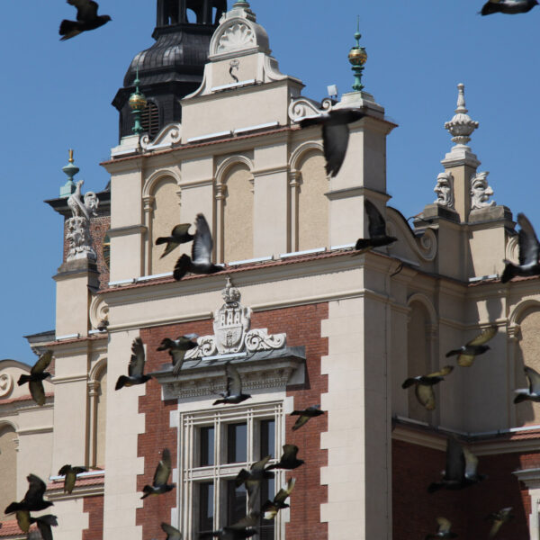 Lakenhal - Krakau - Polen