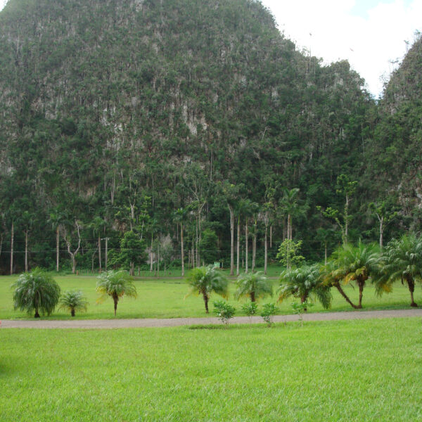 Mogotes - Valle de Viñales - Cuba