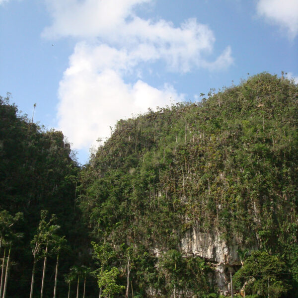 Mogotes - Valle de Viñales - Cuba