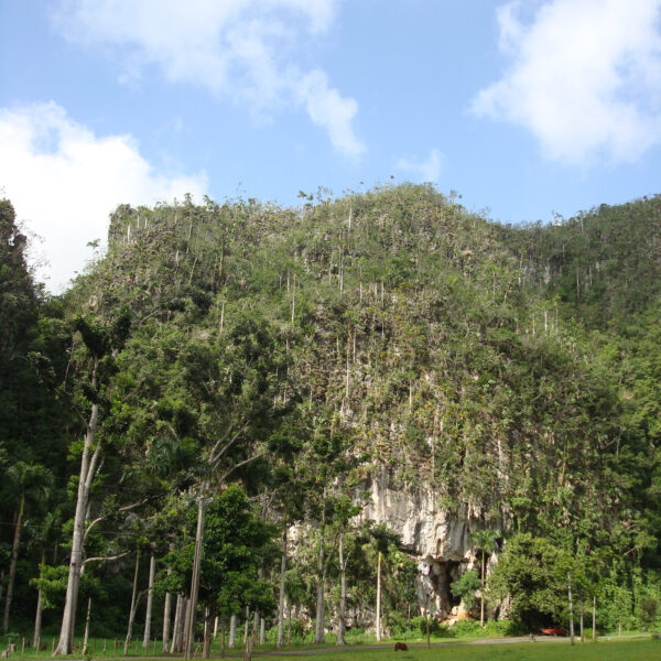 Mogotes - Valle de Viñales - Cuba