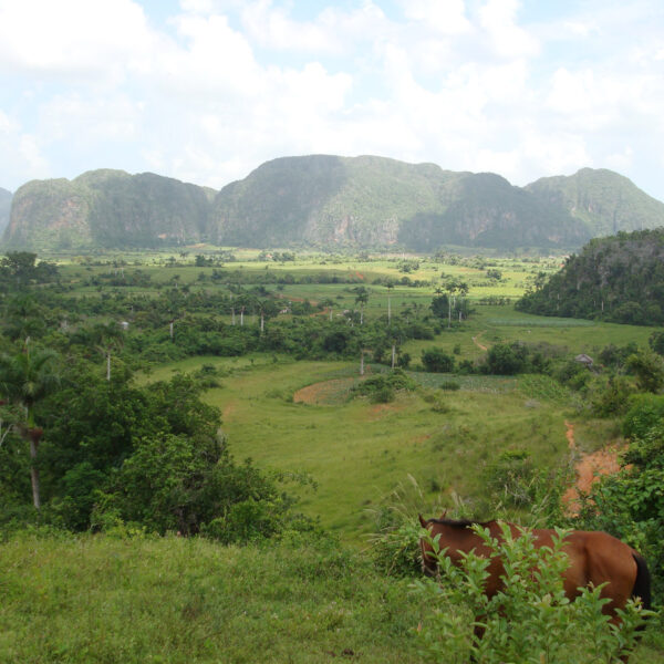 Mogotes - Valle de Viñales - Cuba