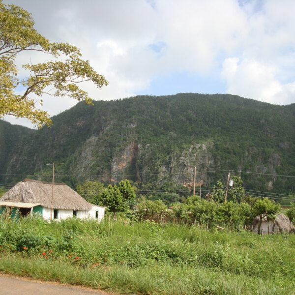Mogotes - Valle de Viñales - Cuba
