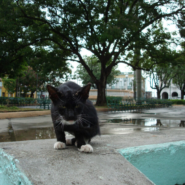 Parque Serafin Sánchez - Sancti Spíritus - Cuba