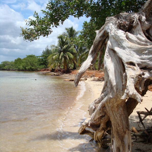 Playa las Coloradas - Parque Nacional Desembarco del Granma - Cuba