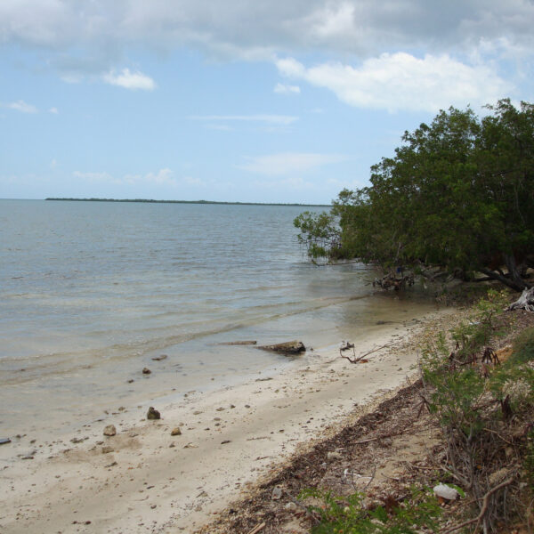 Playa las Coloradas - Parque Nacional Desembarco del Granma - Cuba