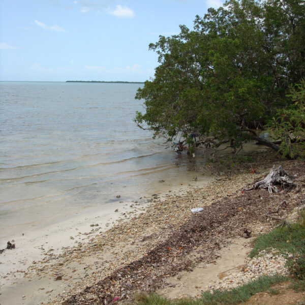 Playa las Coloradas - Parque Nacional Desembarco del Granma - Cuba