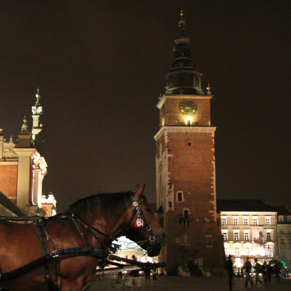 Raadhuistoren - Krakau - Polen