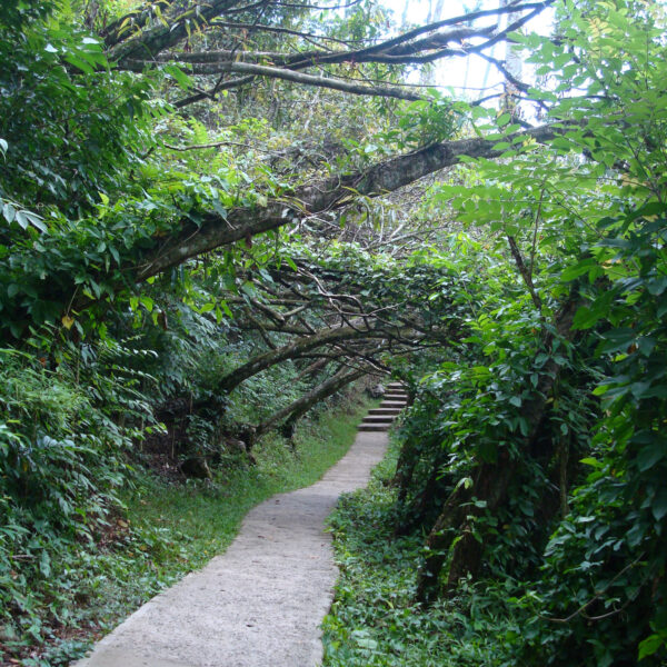 Saltón - Soroa - Cuba