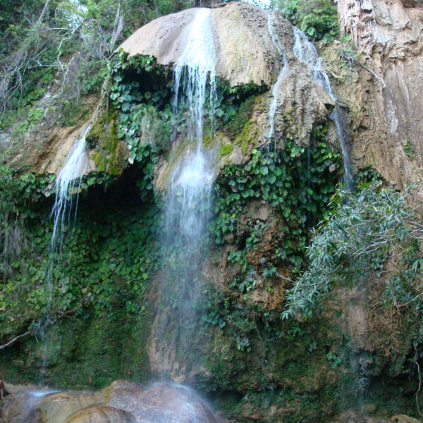 Saltón - Soroa - Cuba