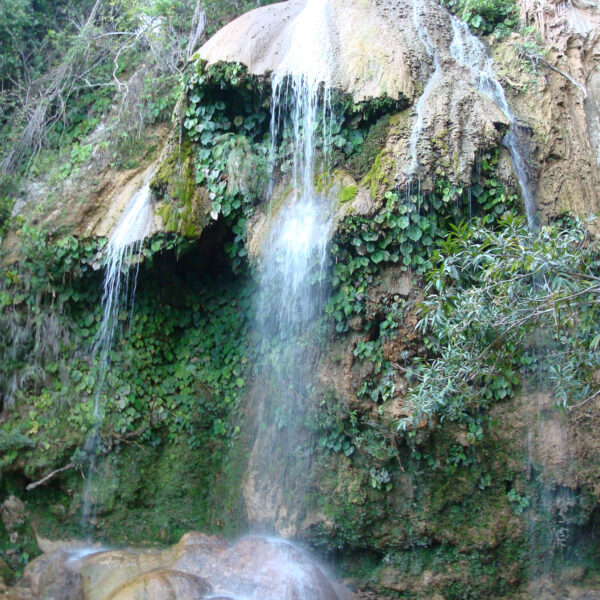 Saltón - Soroa - Cuba