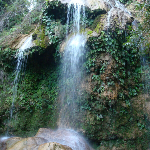 Saltón - Soroa - Cuba