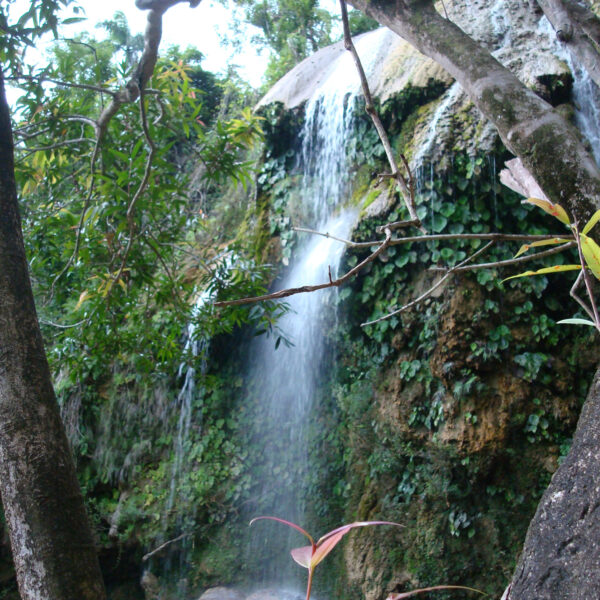 Saltón - Soroa - Cuba