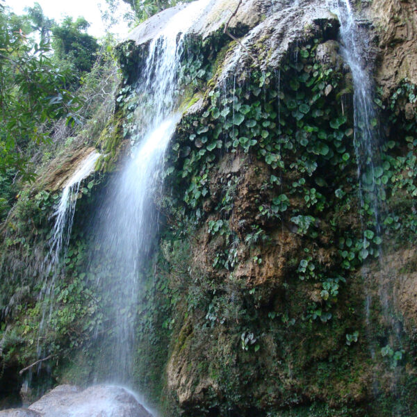 Saltón - Soroa - Cuba