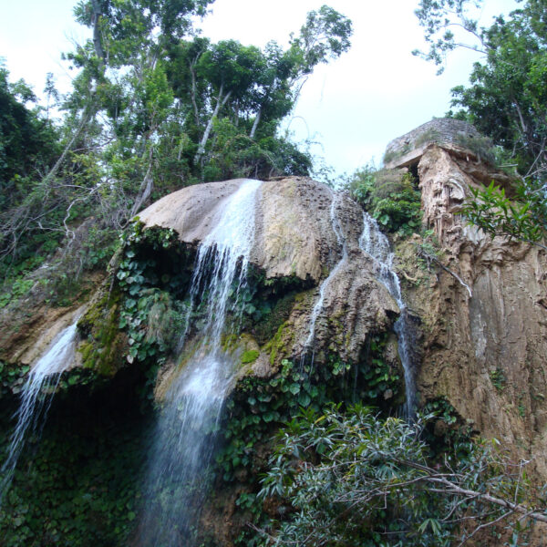 Saltón - Soroa - Cuba