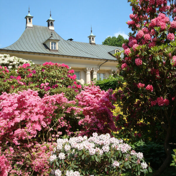 Schloss Pillnitz - Dresden - Duitsland