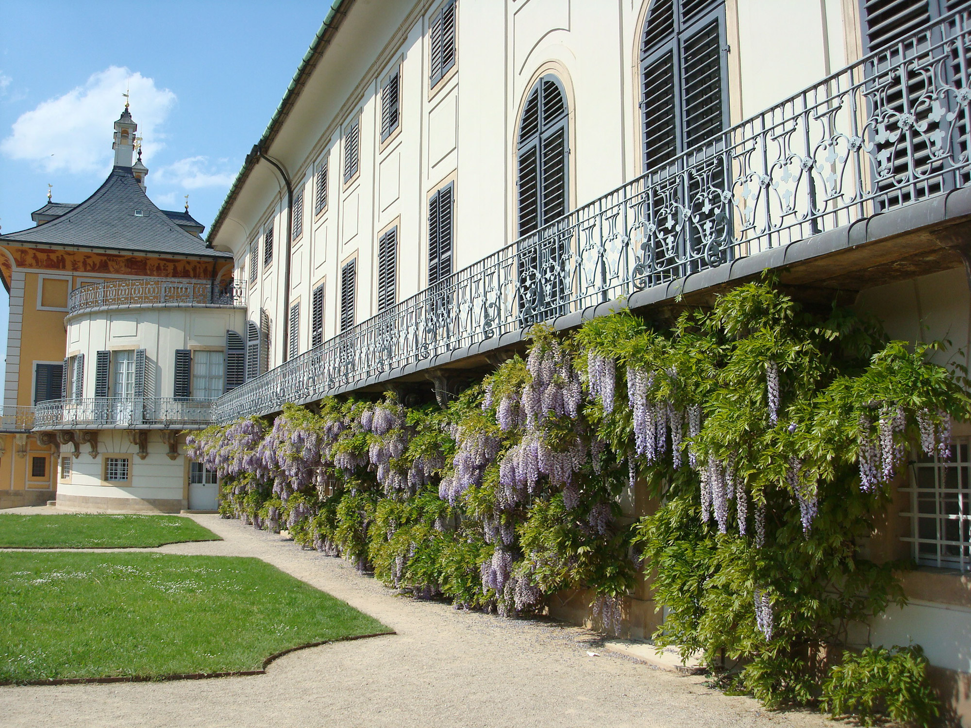 Schloss Pillnitz - Dresden - Duitsland