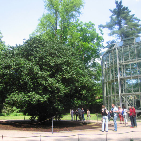 Schloss Pillnitz - Dresden - Duitsland