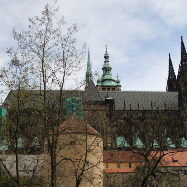 St. Vituskathedraal - Praag Tsjechië